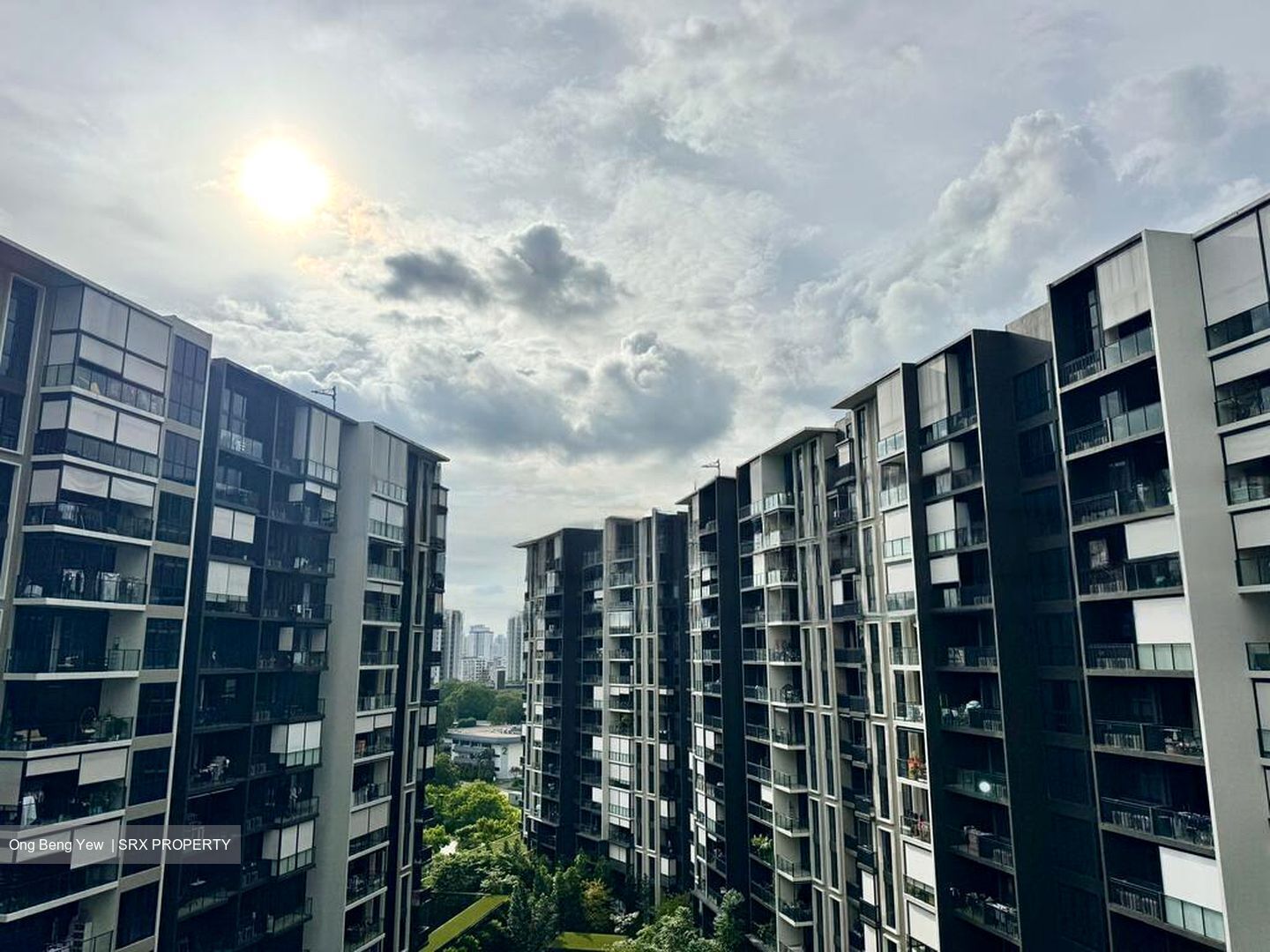 Park Colonial (D13), Condominium #621767891